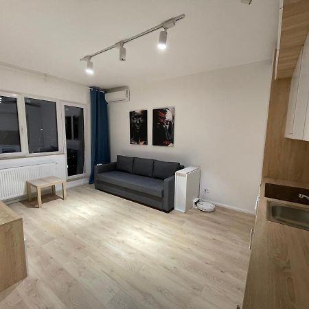 Treasure Luxury Apartment Palace Bukurešť Exteriér fotografie